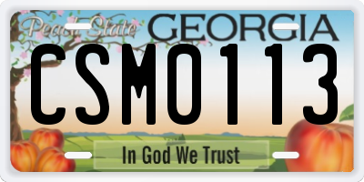 GA license plate CSM0113