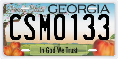 GA license plate CSM0133