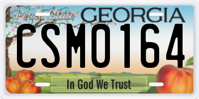 GA license plate CSM0164
