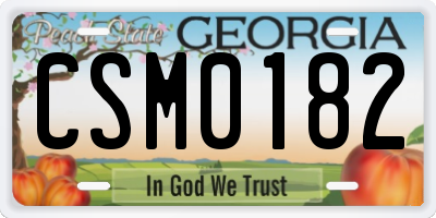 GA license plate CSM0182