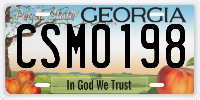GA license plate CSM0198