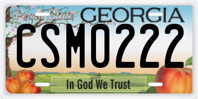 GA license plate CSM0222