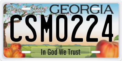 GA license plate CSM0224