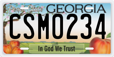GA license plate CSM0234