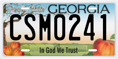 GA license plate CSM0241
