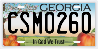 GA license plate CSM0260