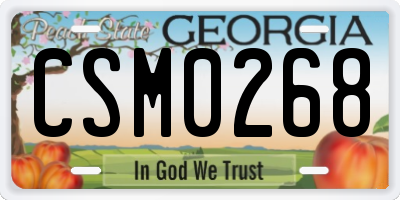 GA license plate CSM0268