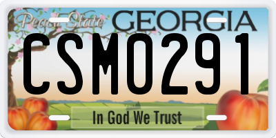 GA license plate CSM0291