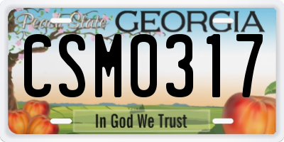 GA license plate CSM0317