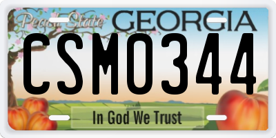 GA license plate CSM0344