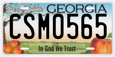 GA license plate CSM0565
