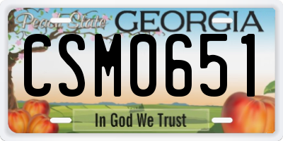 GA license plate CSM0651