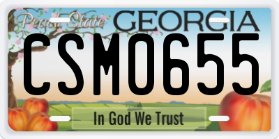 GA license plate CSM0655
