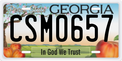 GA license plate CSM0657