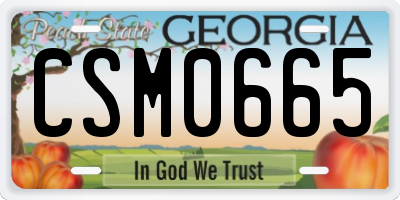 GA license plate CSM0665