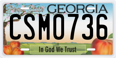 GA license plate CSM0736