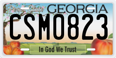 GA license plate CSM0823