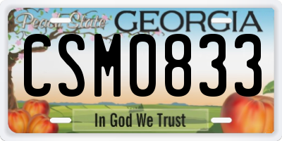 GA license plate CSM0833
