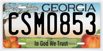 GA license plate CSM0853