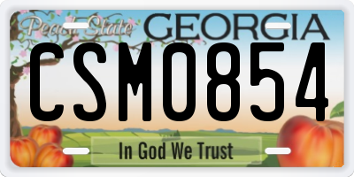 GA license plate CSM0854