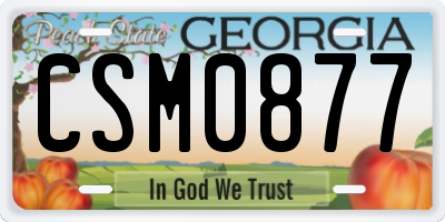 GA license plate CSM0877