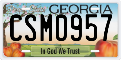 GA license plate CSM0957