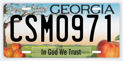 GA license plate CSM0971