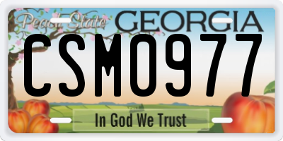 GA license plate CSM0977
