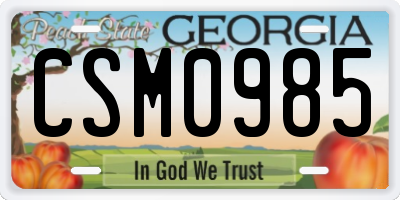 GA license plate CSM0985