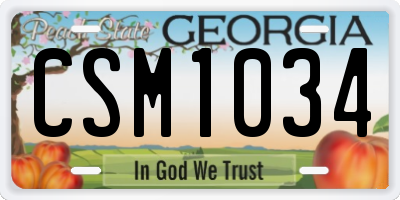 GA license plate CSM1034