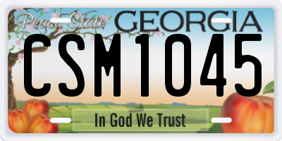 GA license plate CSM1045