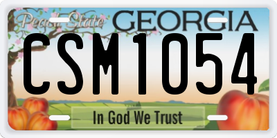 GA license plate CSM1054