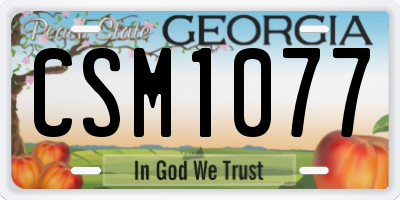 GA license plate CSM1077