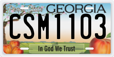 GA license plate CSM1103