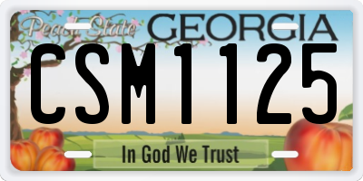 GA license plate CSM1125