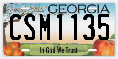 GA license plate CSM1135
