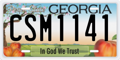 GA license plate CSM1141