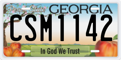 GA license plate CSM1142