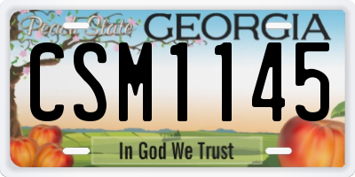 GA license plate CSM1145