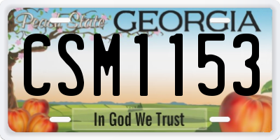 GA license plate CSM1153