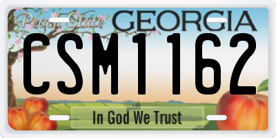 GA license plate CSM1162