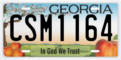 GA license plate CSM1164