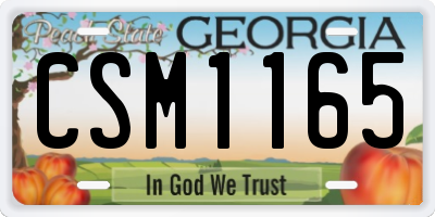 GA license plate CSM1165