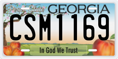GA license plate CSM1169