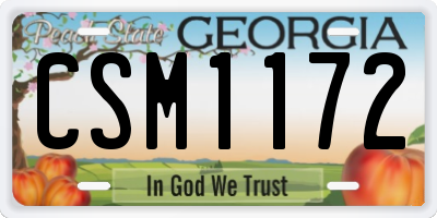 GA license plate CSM1172