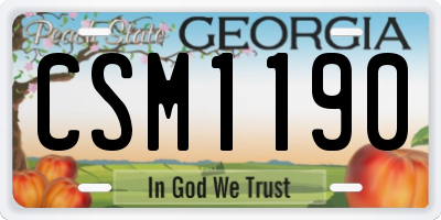 GA license plate CSM1190