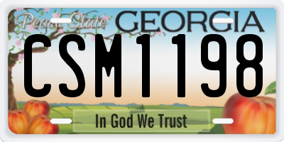 GA license plate CSM1198