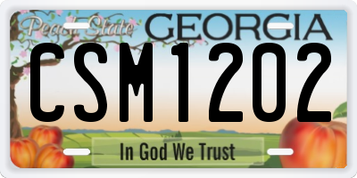 GA license plate CSM1202