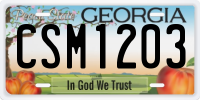 GA license plate CSM1203