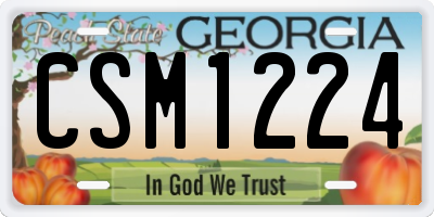 GA license plate CSM1224